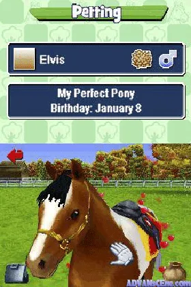 Pony Friends (USA) (En,Fr,De,Es,It,Nl) (Rev 1) screen shot game playing